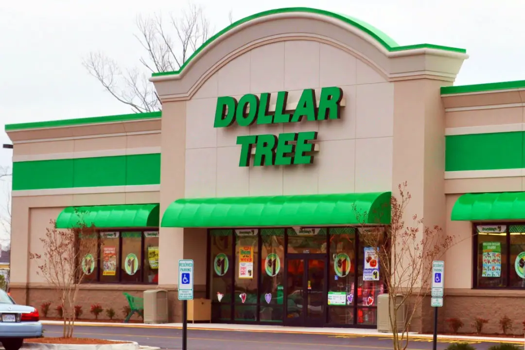 Dollar Store Differences